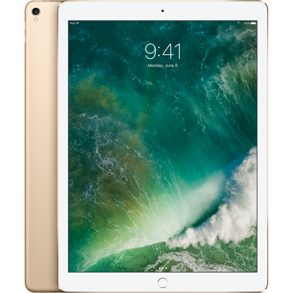 iPad Pro12.9 256GB Wi-Fi+Cellular Apple 【公式通販】