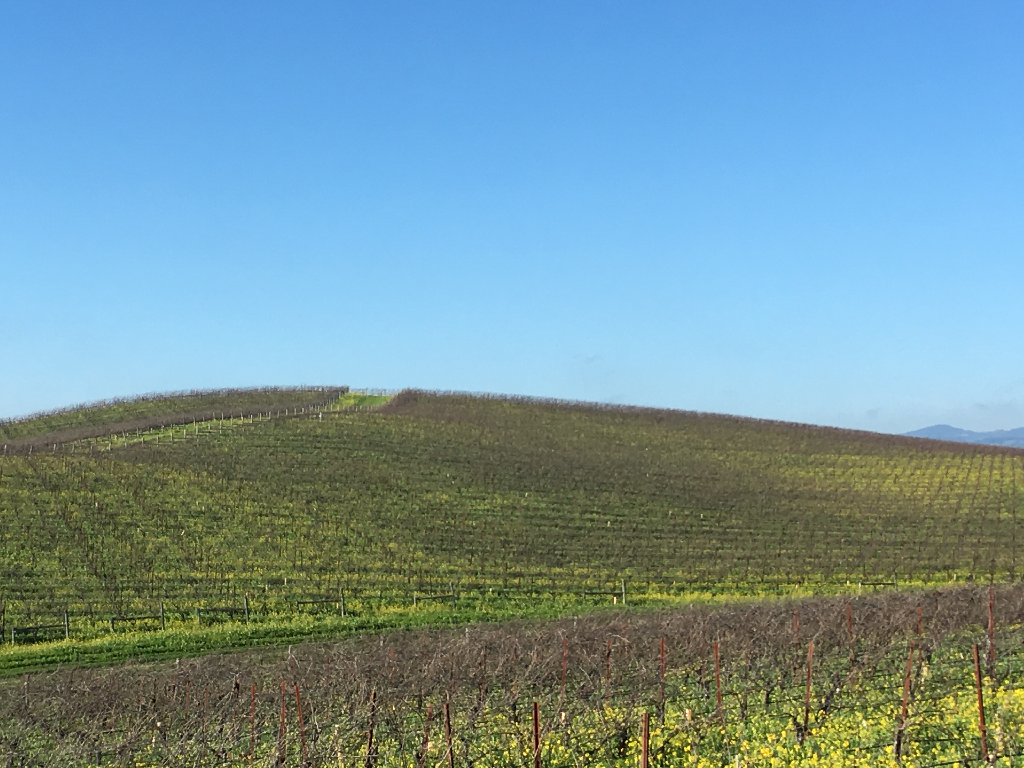 Windows XP classic wallpaper: from your PC to a real-life trip up Memory Hills