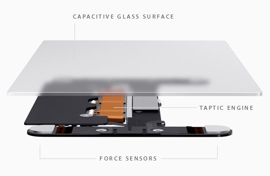 Apple Force Touch Trackpad