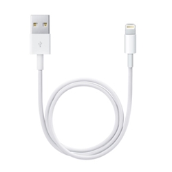 ME291ZM/A Apple Lightning to USB Cable (0.5 m)