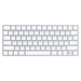Apple Magic Keyboard MLA22RU/A Russian
