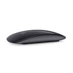 Apple Magic Mouse 2 MRME2LL/A Space Gray