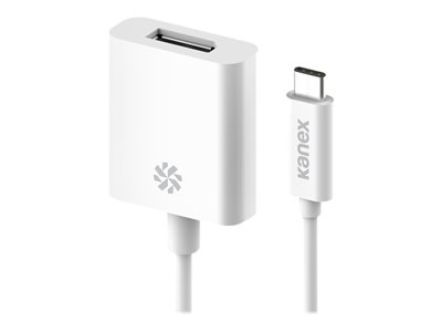 Kanex USB-C to DisplayPort Adapter with 4K Support 8.25 Inches K181-1016-WT8I