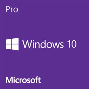 Microsoft Windows 10 Pro OEM