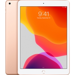 Apple iPad MYN62LL/A Wi-Fi Cellular 32GB 8th Gen - Gold